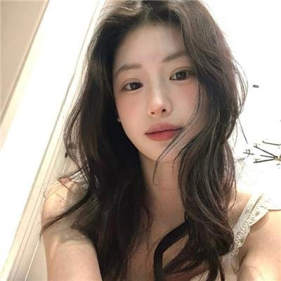 智叻狗仔队